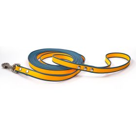 Durable material New style two-color training rope Tangle-free Soft on pet 4.92FT Obedience training Daily walk training Park training  Evening/e (Color: Orange-blue, size: 10M)